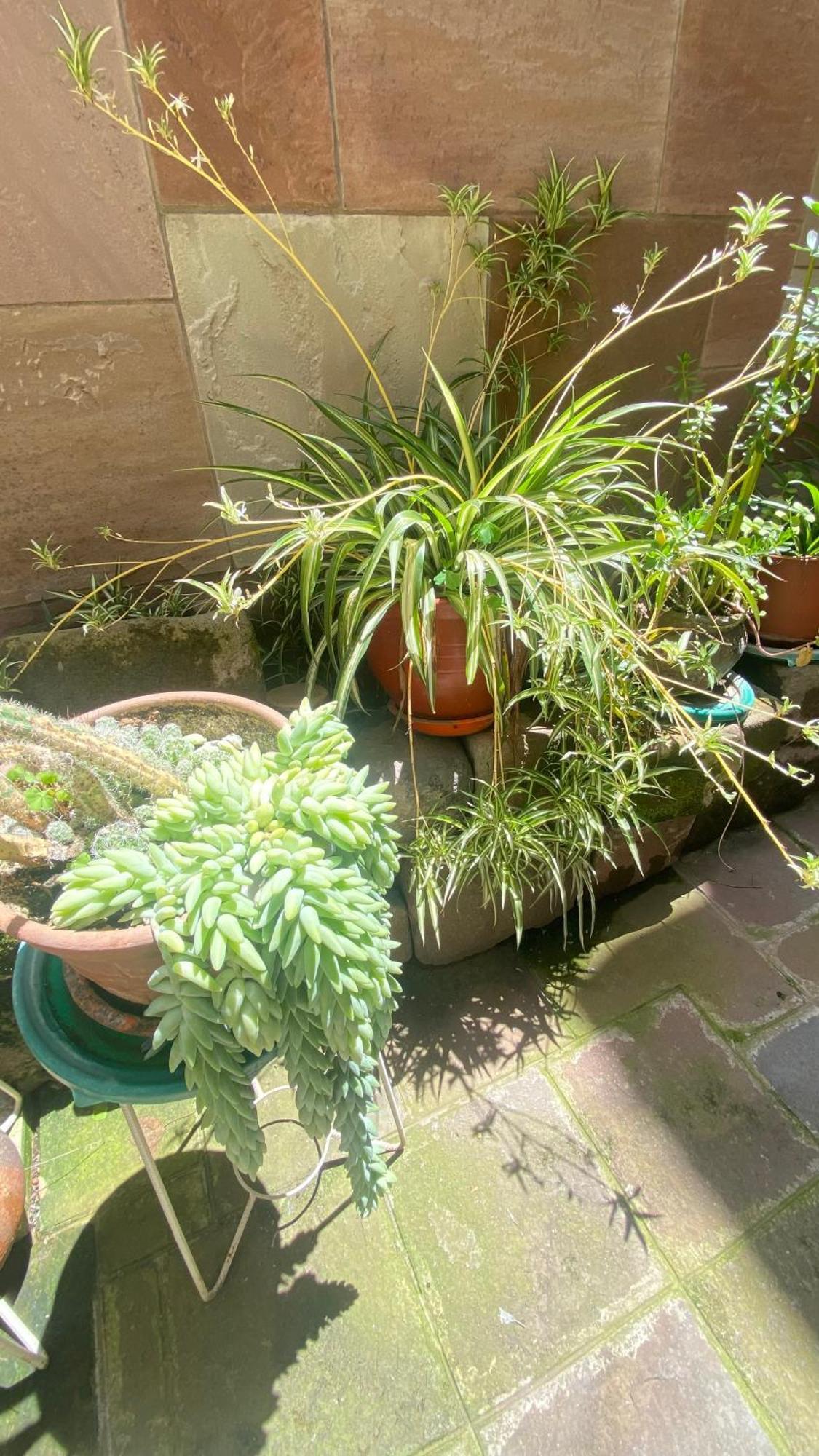 Apartment Qorigardens Aparts & Cusco